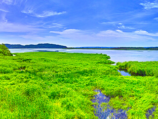 釧路のリゾートバイト・エリア情報